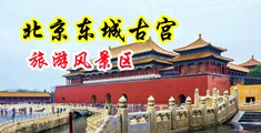 下载亚洲男大战外国女人跳蛋中国北京-东城古宫旅游风景区